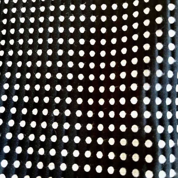 Erin Fetherston Size 4 Polka Dot Black and White Fit Flare Dress Sleeveless - Picture 6 of 16